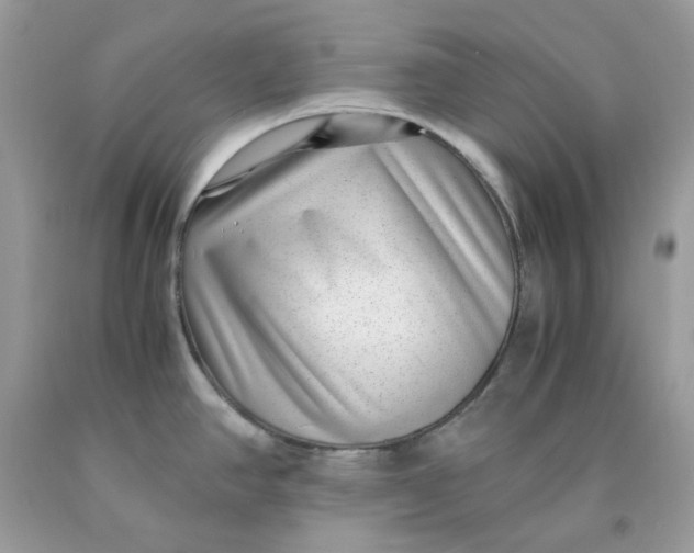 X0000091451390200709061725