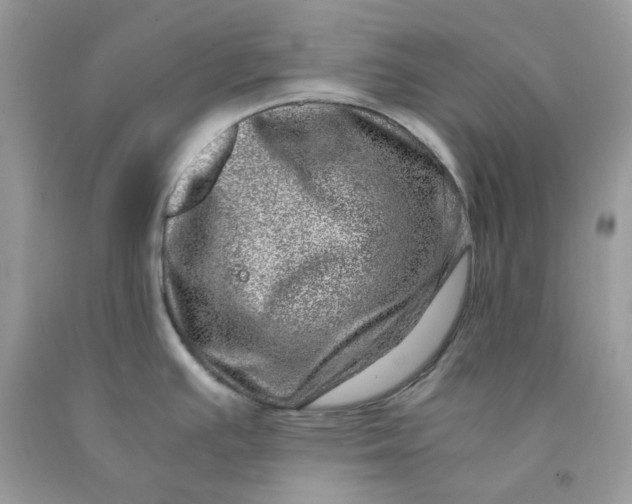 X0000091451391200709061725