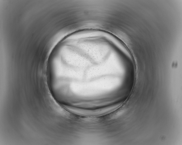 X0000091451392200709061725