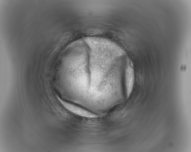 X0000091451393200709061724