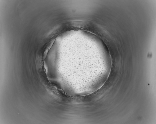 X0000091451394200709061724