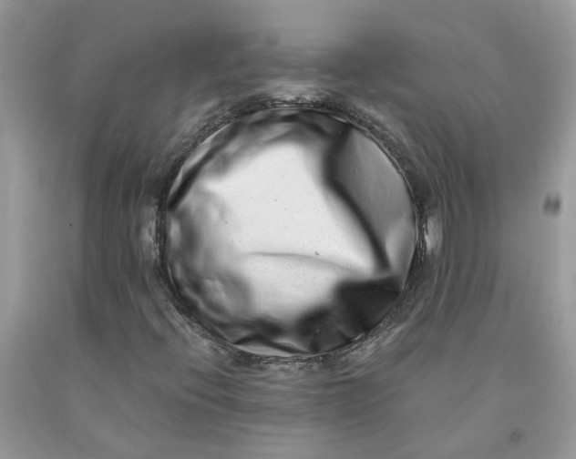 X0000091451396200709061725