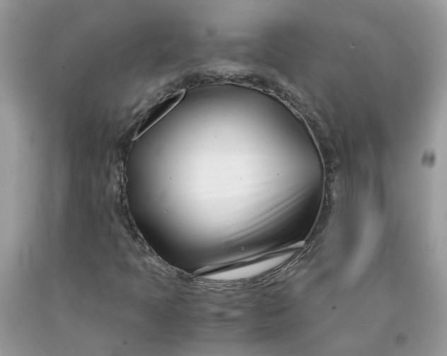 X0000091451397200709061725