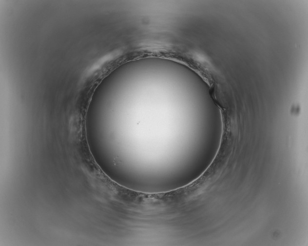 X0000091451398200709061725