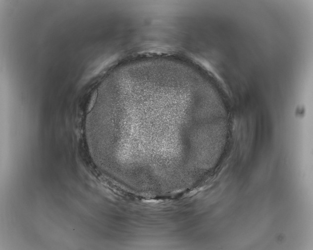 X0000091451399200709061725