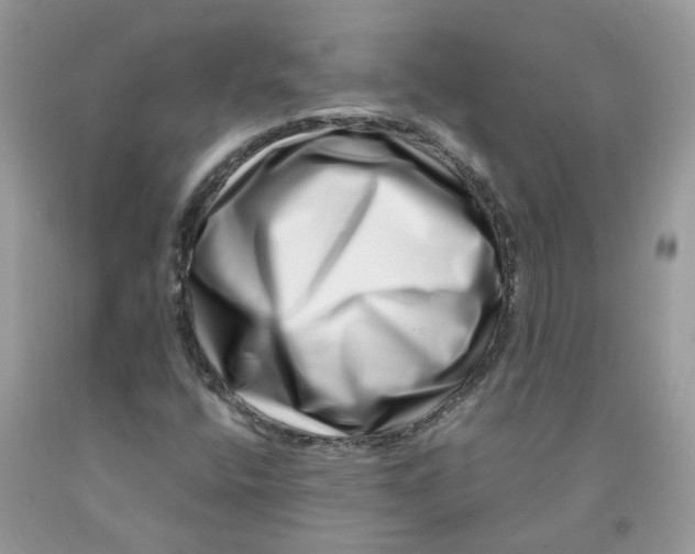 X0000091451400200709061725