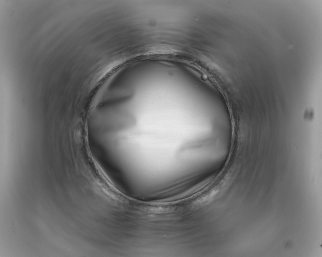 X0000091451401200709061725