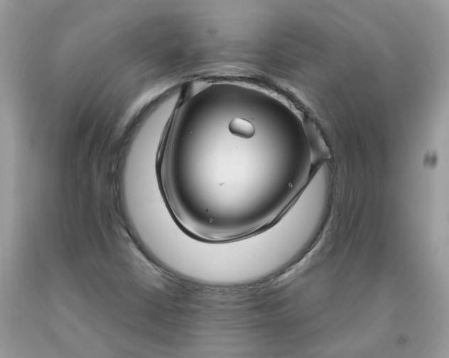 X0000091451402200709061725