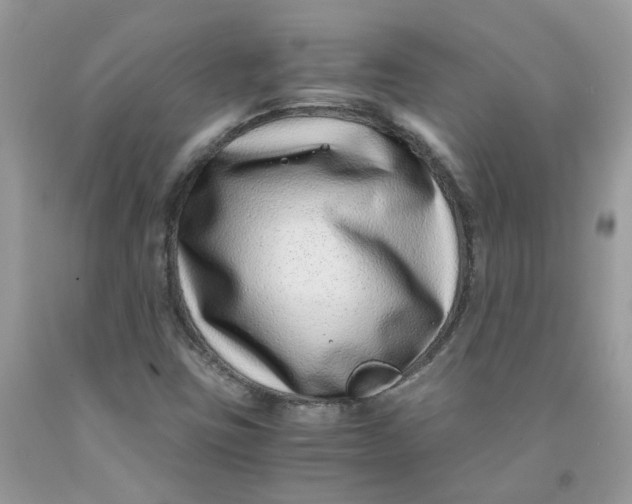 X0000091451403200709061725