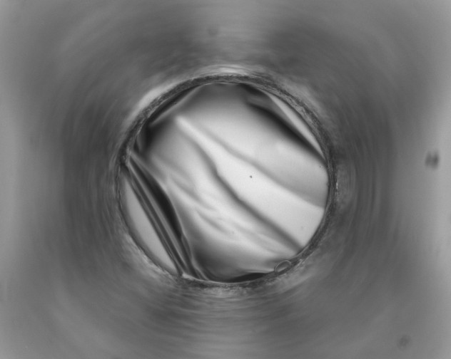 X0000091451404200709061725