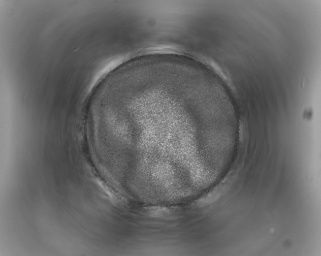 X0000091451405200709061725