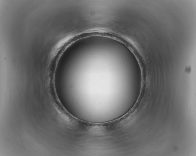 X0000091451406200709061725