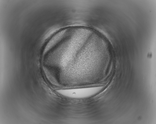 X0000091451407200709061725