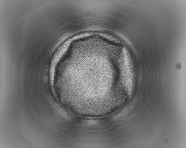 X0000091451409200709061725