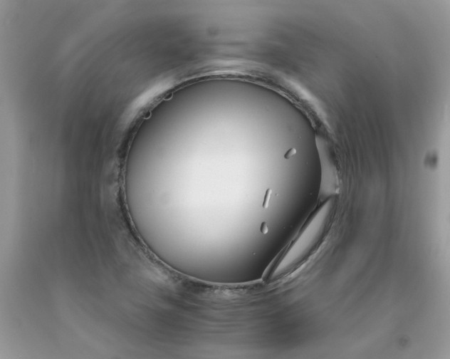 X0000091451411200709061725