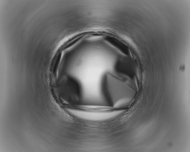 X0000091451412200709061725