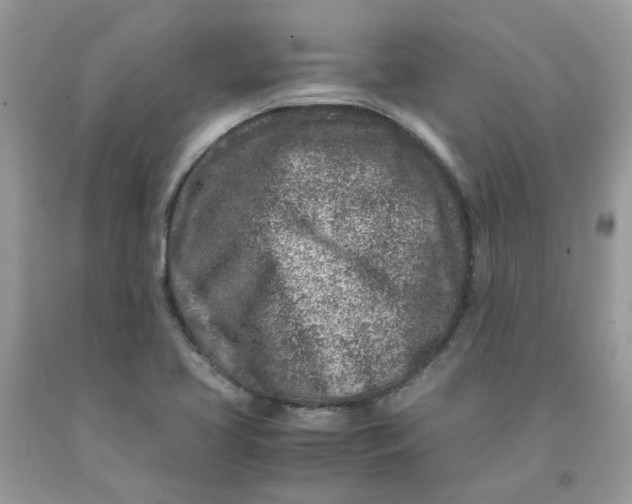 X0000091451413200709061725