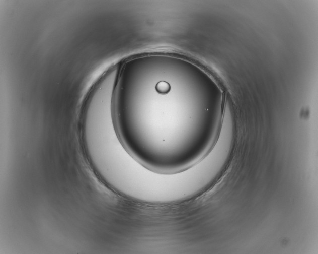 X0000091451414200709061725