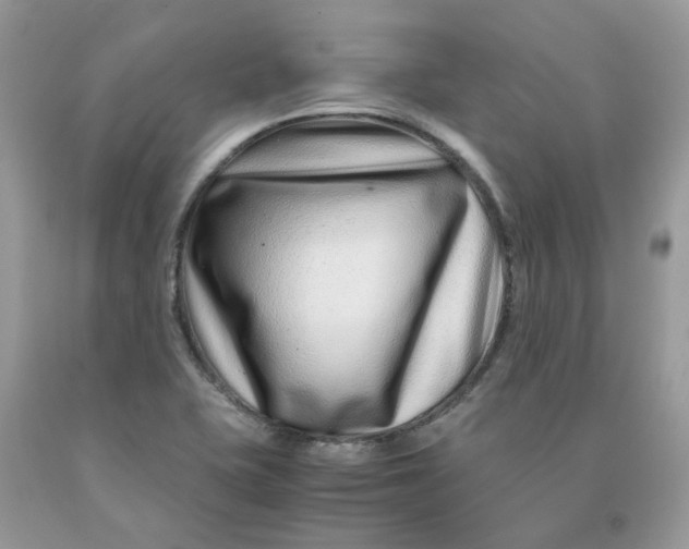 X0000091451415200709061725