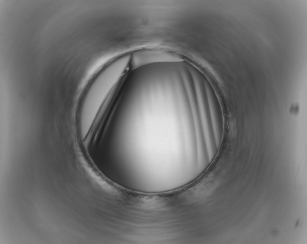 X0000091451416200709061725