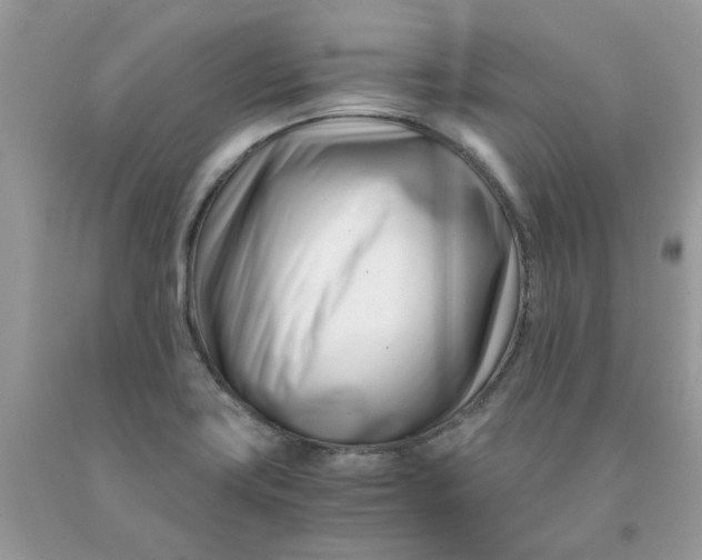 X0000091451419200709061725