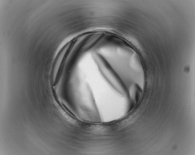 X0000091451420200709061725