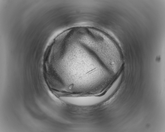 X0000091451421200709061725