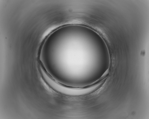 X0000091451422200709061725