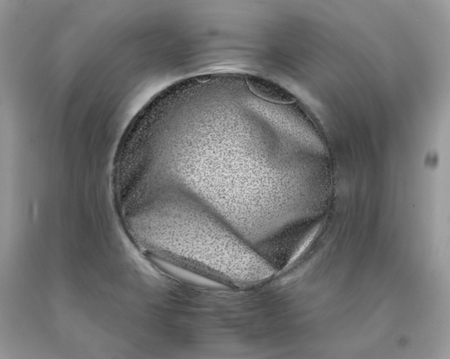 X0000091451423200709061725