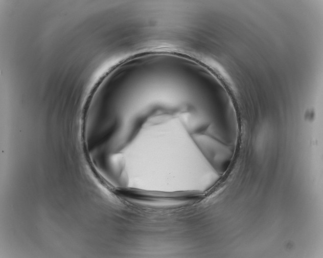 X0000091451424200709061725