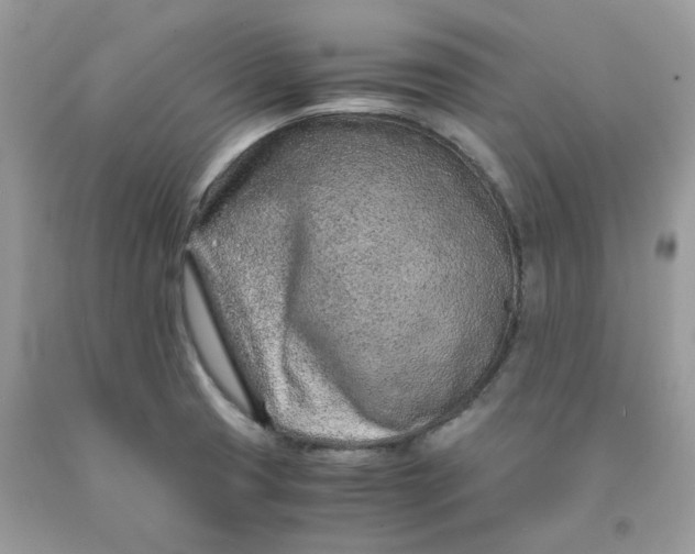 X0000091451425200709061725