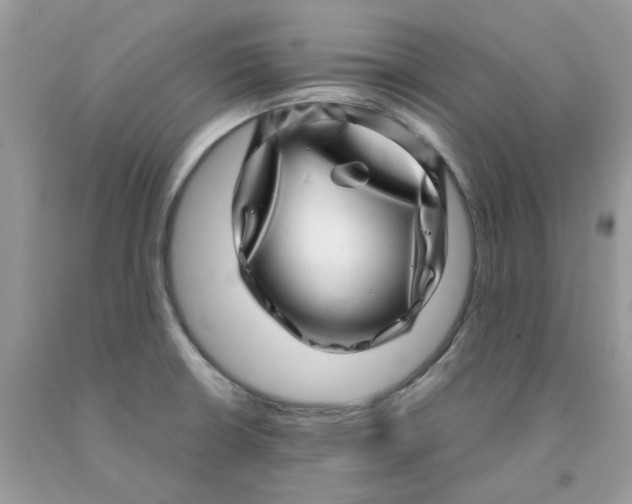 X0000091451426200709061725