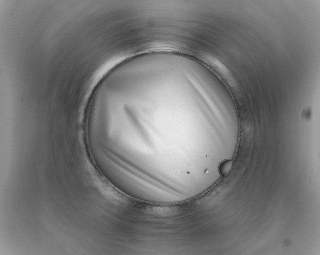 X0000091451427200709061725