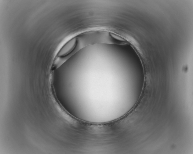 X0000091451428200709061725