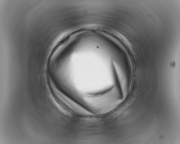 X0000091451429200709061725