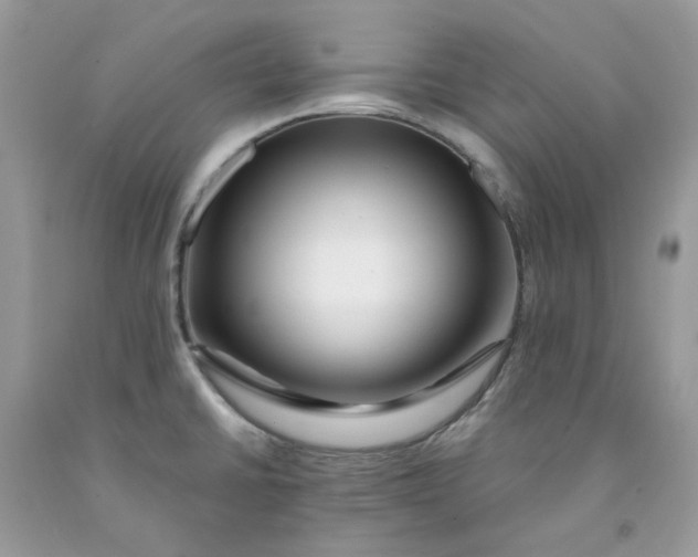 X0000091451430200709061725