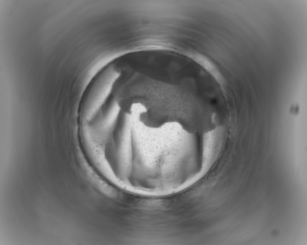 X0000091451431200709061725