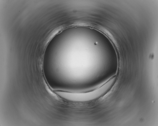 X0000091451433200709061725