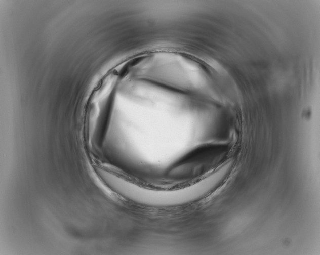 X0000091451437200709061725