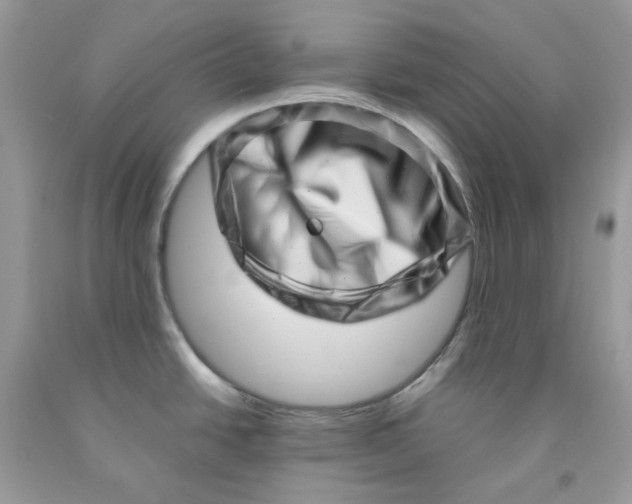 X0000091451438200709061725