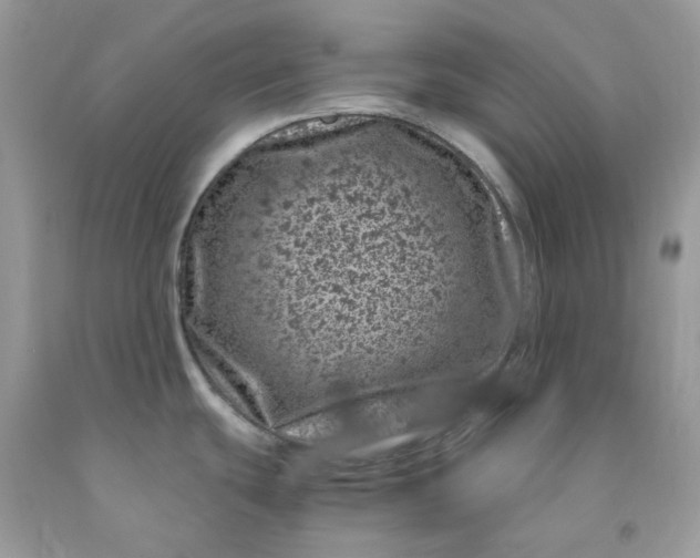 X0000091451439200709061725