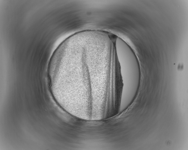 X0000091451440200709061725