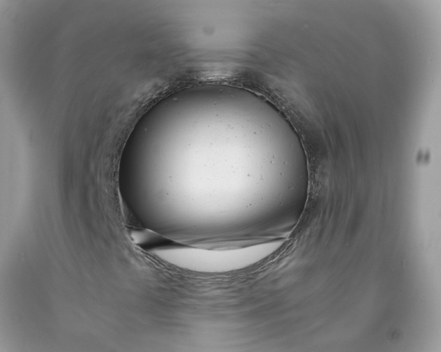 X0000091451441200709061724