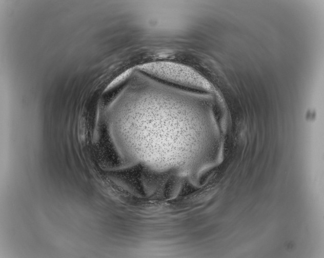 X0000091451442200709061724