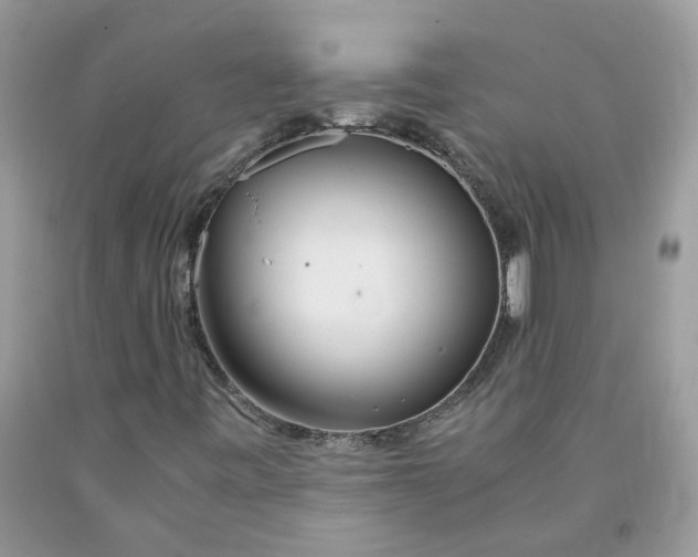 X0000091451443200709061724