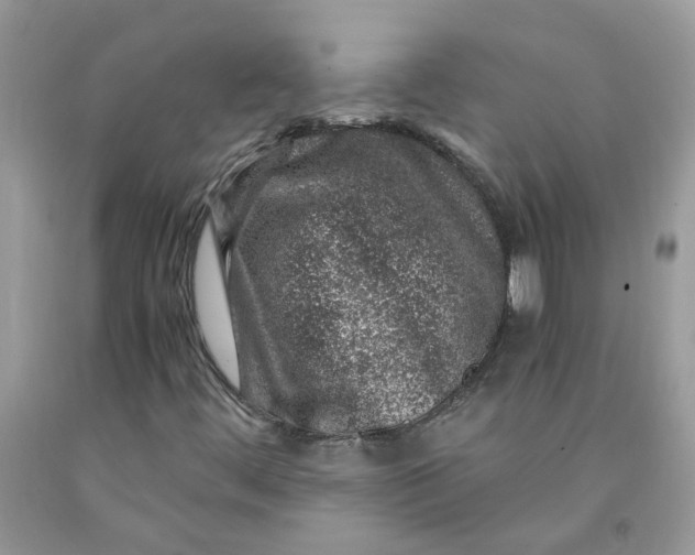 X0000091451444200709061724