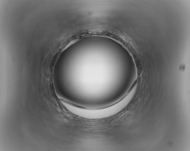 X0000091451445200709061724