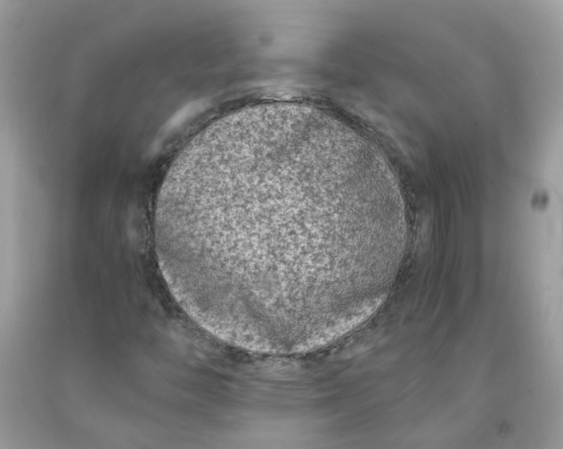 X0000091451446200709061724