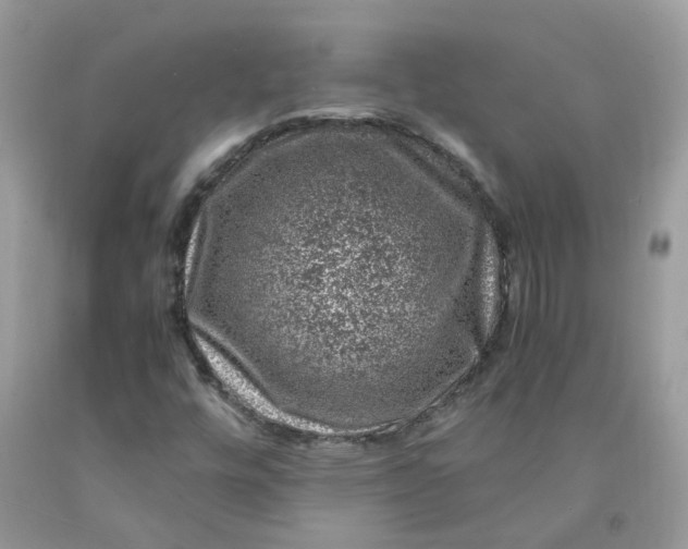 X0000091451448200709061724