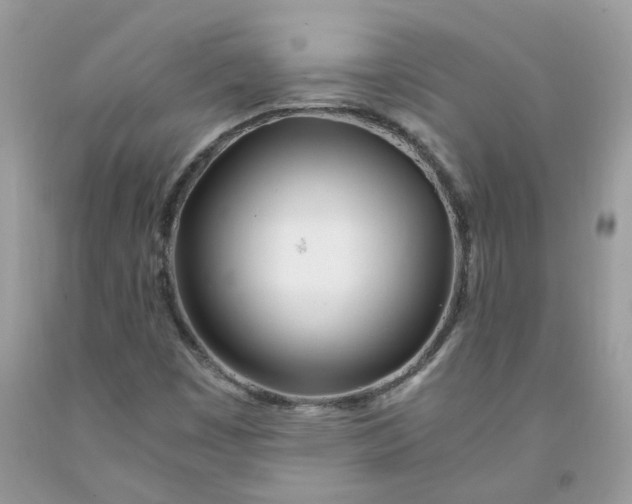 X0000091451449200709061724